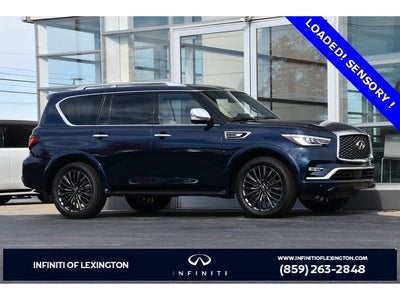 2024 INFINITI QX80 SENSORY 4WD
