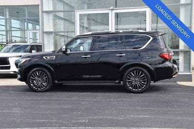 2023 INFINITI QX80 SENSORY 4WD