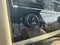 2024 INFINITI QX80 SENSORY 4WD