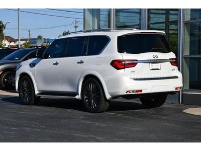 2023 INFINITI QX80 SENSORY 4WD