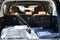 2027 INFINITI QX80 Luxe 4WD