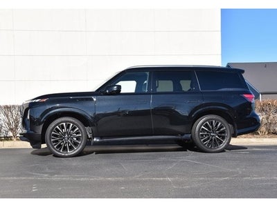 2025 INFINITI QX80 Autograph 4WD