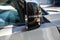 2027 INFINITI QX80 Sport 4WD