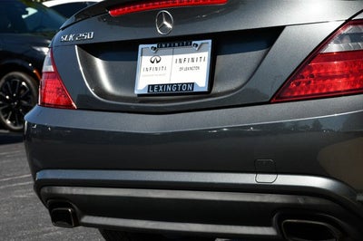 2015 Mercedes-Benz SLK SLK 250