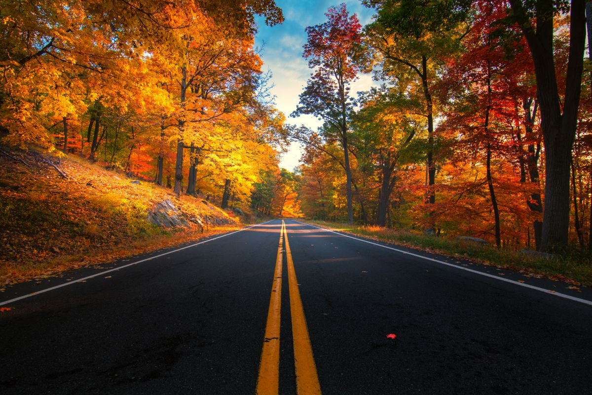 fall drive in Kentucky